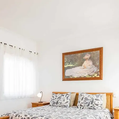 Casa Moderna Com Arquitetura Tradicional E Piscina
